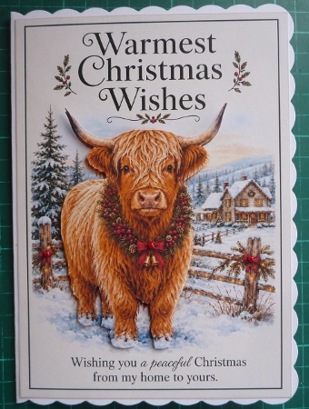 Warmest Christmas Wishes  by Maida Blades