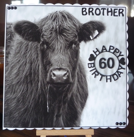 Cow 8x8inch Topper Monotone. by Maida Blades