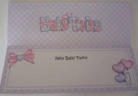 New Baby Twins Matching Large Dl Insert by Maida Blades