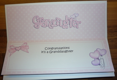 Congratulations It's a Granddaughter Large Dl Insert by Maida Blades