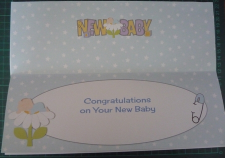Baby Boy on Flower New Baby Large Dl Insert by Maida Blades