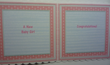 Animal Ark Birthday Ages Baby Christening Girl Mini Kit by Maida Blades