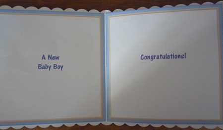 Baby Boy Special Delivery Stork 8x8 Decoupage Mini Kit by Maida Blades