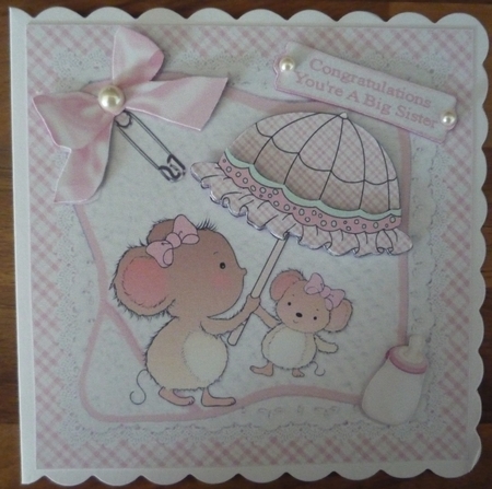 8x8 Congratulations New Big Sister Baby Girl Mini Kit by Maida Blades