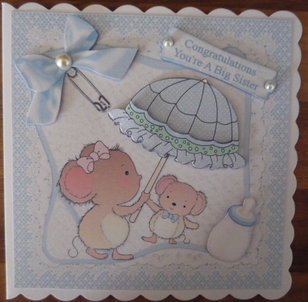 8x8 Congratulations New Big Sister Baby Boy Mini Kit by Maida Blades