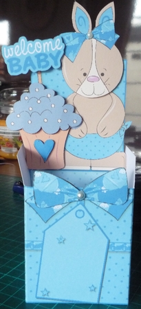 New Baby Boy Bunny Box Card by Maida Blades