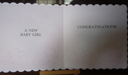 Baby Girl Sugar & Spice & All Things Nice Mini Kit  by Maida Blades