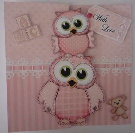 3D Shaped No-Hole Fold Back Mini Kit -   New Baby Girl Little Hoot Owls by Maida Blades