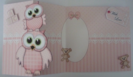 3D Shaped No-Hole Fold Back Mini Kit -   New Baby Girl Little Hoot Owls by Maida Blades
