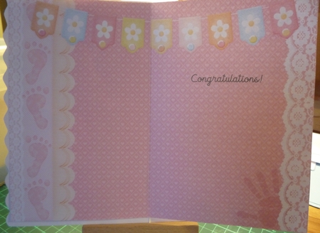 Our Little Miracle Girl Quick Cards by Maida Blades