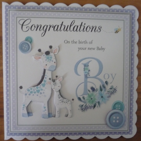 New Baby Boy by Maida Blades