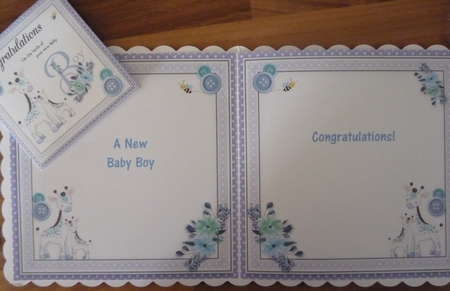 New Baby Boy by Maida Blades