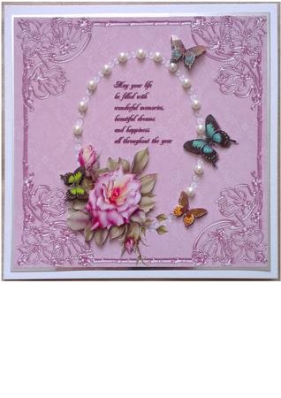 Pink Rose Frame by Mandy Alexander