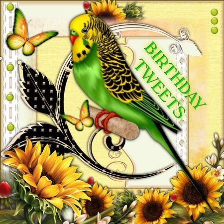 13 Papers With Different Textures 8 x 8 by Mandy Kirby