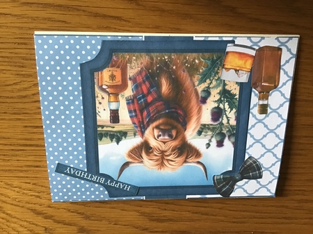 6x6 & 5x7 - WHISKY COW by Margaret Davies