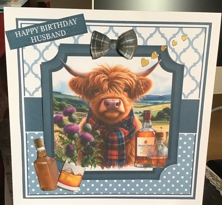 6x6 & 5x7 - WHISKY COW by Margaret Davies