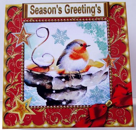 Christmas Red Robin Scallop 5in Quick Card by Margaret Dittmann