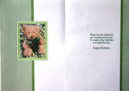 Teddy Bear A5 Portrait Insert by Margaret Dittmann