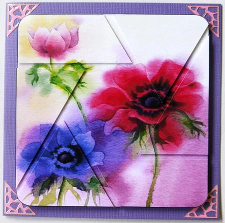 Floral (2) Camera Eye Stacker by Margaret Dittmann