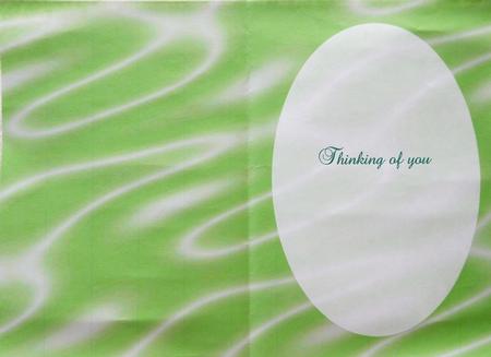 Sumptuous Satin A5 Insert - Lime Sorbet by Margaret Dittmann
