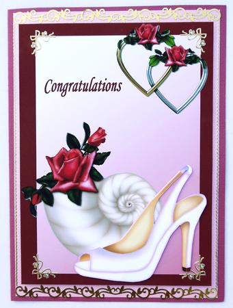 The Wedding Shoe by Margaret Dittmann