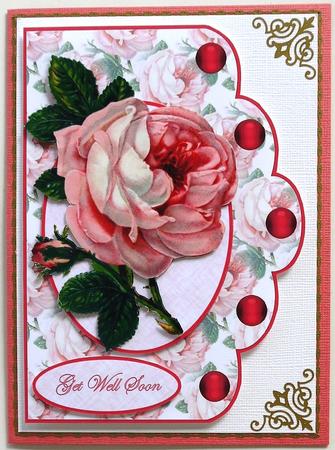 Single Pink by Margaret Dittmann