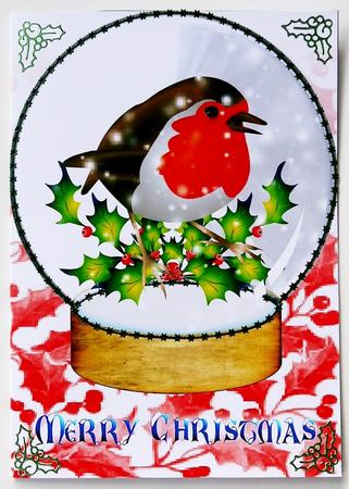 Robin Snowglobe by Margaret Dittmann