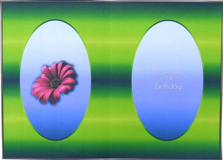 Pink Flower Birthday Insert by Margaret Dittmann