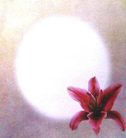 Stargazer Lilies 8x8 Insert by Margaret Dittmann
