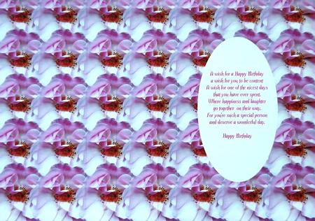 Pink Flowers Insert by Margaret Dittmann