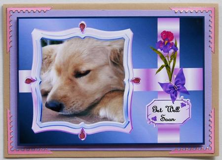 Dog Get Well A4 by Margaret Dittmann