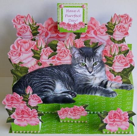 Silver Tabby Cat & Pink Roses - 3D A4 Giant Easel Card Kit by Margaret Dittmann