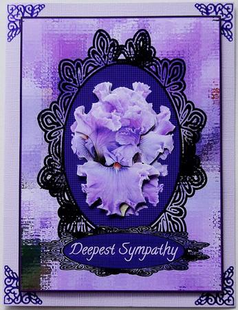 Bearded Iris Deepest Sympathy Thinking of You by Margaret Dittmann