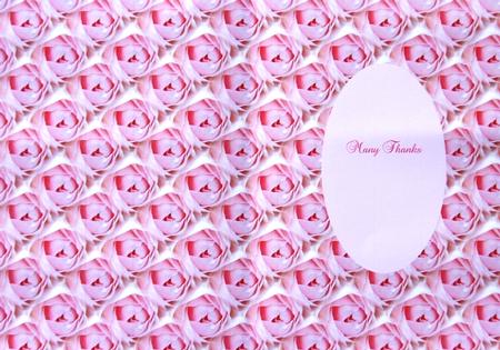 New Baby Girl Insert by Margaret Dittmann