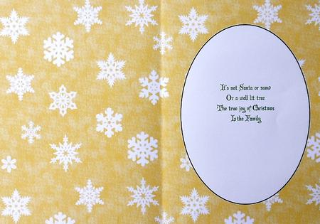 Christmas Snowflake Insert 8 by Margaret Dittmann
