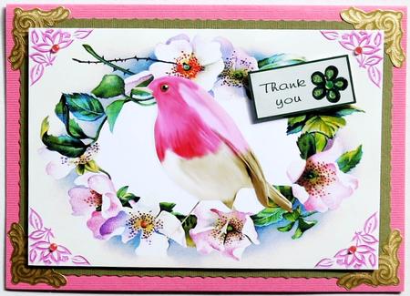 Pretty Robin in Flower Frame A4 by Margaret Dittmann