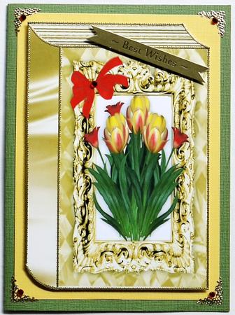 Gold Frame of Pretty Tulips in Yellow and Red Book A4 by Margaret Dittmann