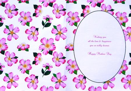 Pink Cherry Blossom Insert 1 by Margaret Dittmann