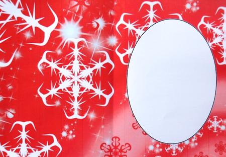 Red Snowflake Insert 2 by Margaret Dittmann