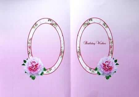 Pink Peonies Insert by Margaret Dittmann