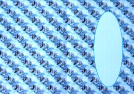 Clipper Reflections Insert by Margaret Dittmann
