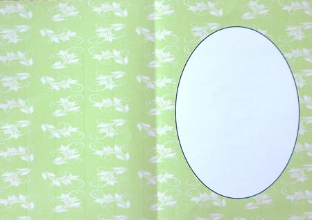 Watermelon Floral Insert 18 by Margaret Dittmann
