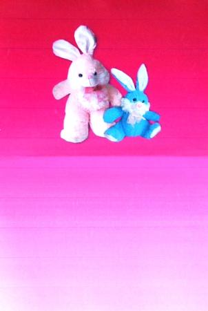 Birthday Bunny Insert by Margaret Dittmann