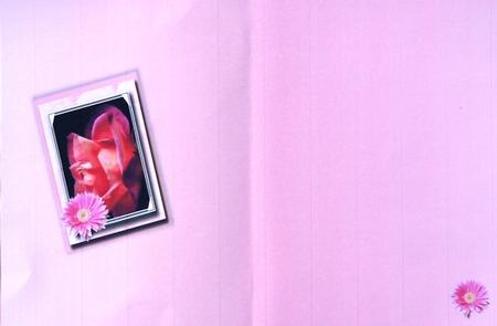Get Well Flowers Insert by Margaret Dittmann