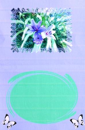 Sympathy Insert by Margaret Dittmann