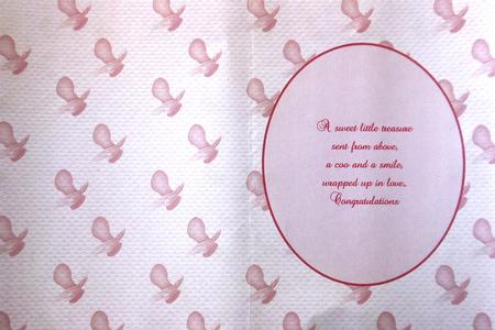 It's a Girl Insert by Margaret Dittmann