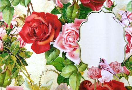 Floral Roses Scenic Insert by Margaret Dittmann