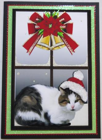 Card & Insert of Cat in Santa Hat in the Window by Margaret Dittmann