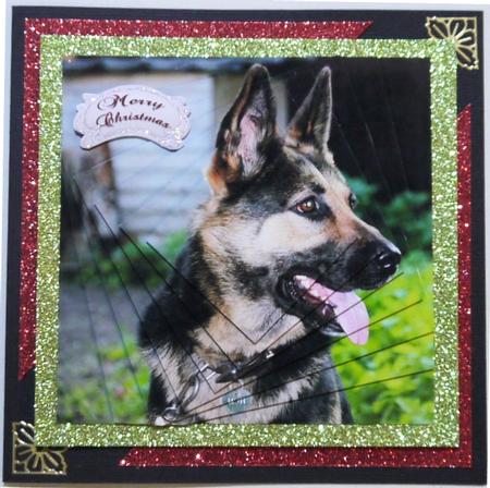 Furry Friends & Familiars - German Shepherd Laughing + Tag + by Margaret Dittmann
