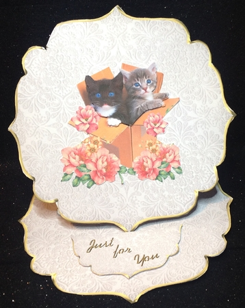 Kittens In A Box 2 by Margaret Hanning